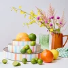 Darbie Angell Happy Spring Summer 9 piece Bowl Set, Service for 3- Pasta Bowls